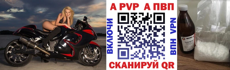Alfa_PVP СК Тверь