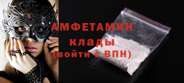 шишки Арсеньев