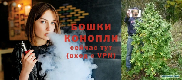 шишки Арсеньев