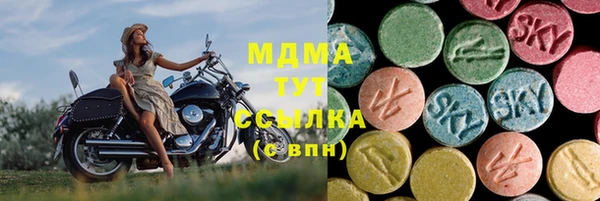 шишки Арсеньев