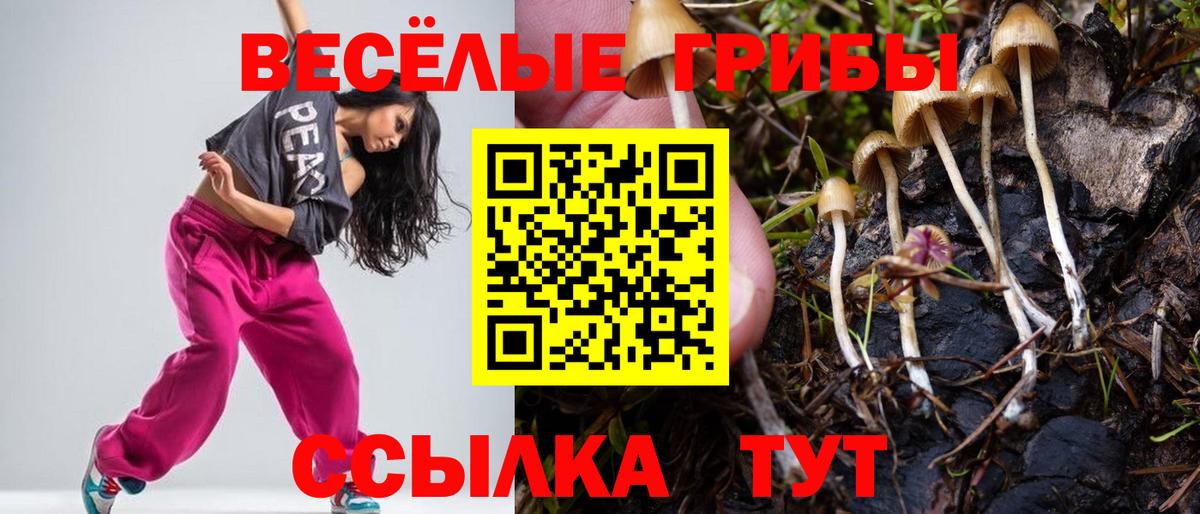 Галлюциногенные грибы Cubensis  Вход с VPN  Тверь 