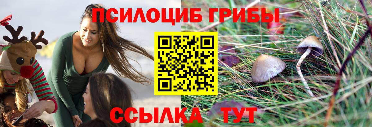 Кодеин Тверь